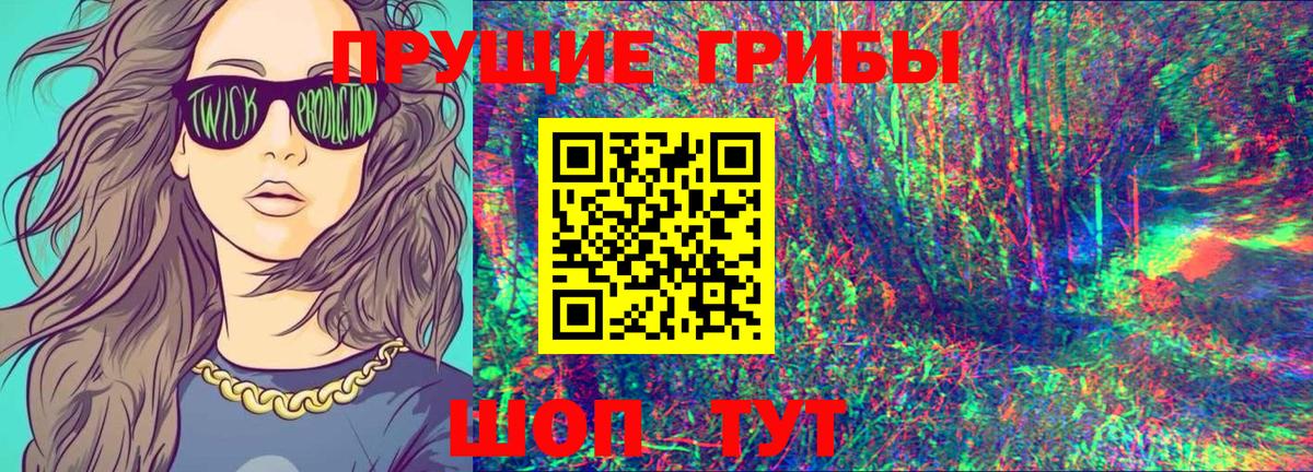 Новоалександровск  Галлюциногенные грибы мицелий  Вход с VPN 